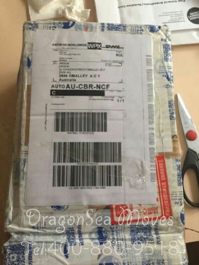 从成都市空运到新西兰