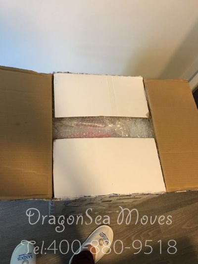 从深圳市空运到美国