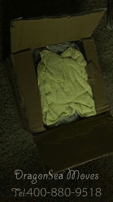 从天津市空运到美国