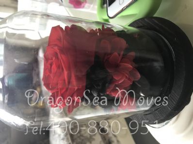 从深圳市空运到美国