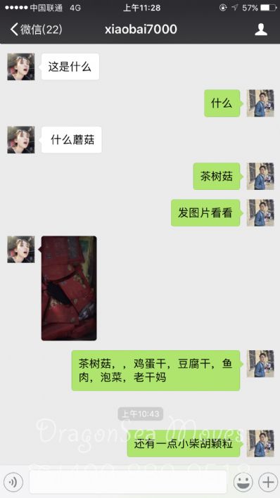 从长沙市空运到新西兰