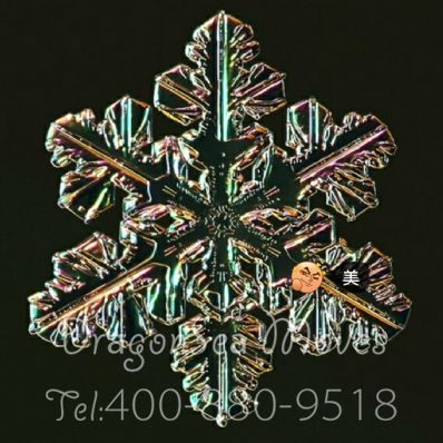 从上海市空运到香港