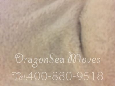 从沈阳市空运到澳大利亚