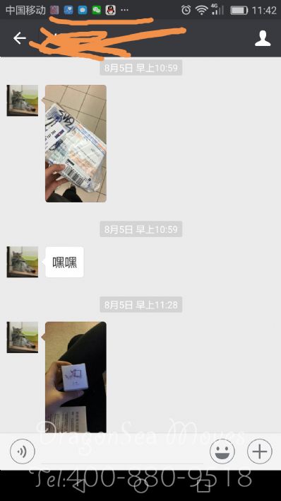 从石家庄市空运到加拿大