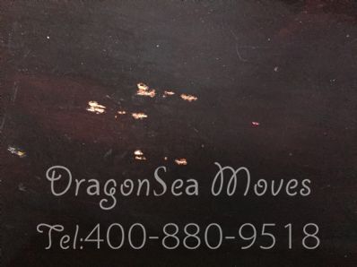 从南昌市空运到美国