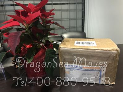 从济南市空运到加拿大