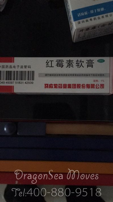 从沈阳市空运到法国