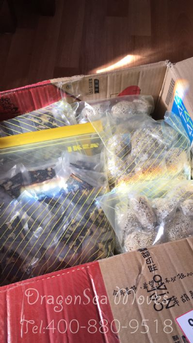 从广州市空运到加拿大