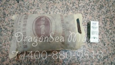 从肇庆市空运到比利时