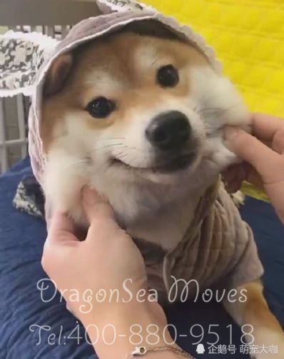 从珠海市空运到法国