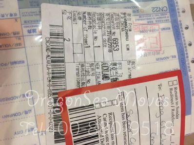 从吉林市空运到新西兰