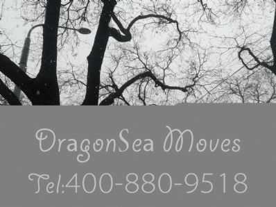 从北京市空运到法国