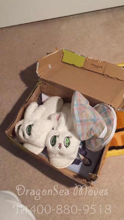 从北京市空运到加拿大