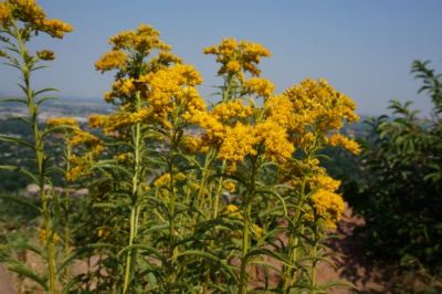 从上海市空运到中国台湾