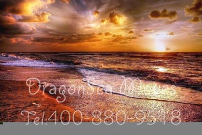 从北京市空运到新加坡