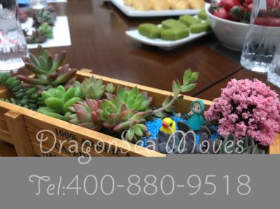 从上海市空运到加拿大