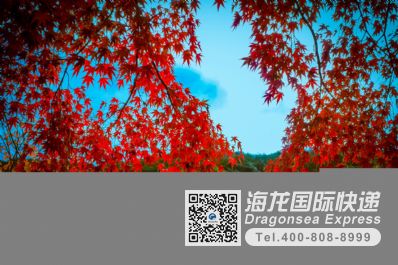 从广州市空运到日本