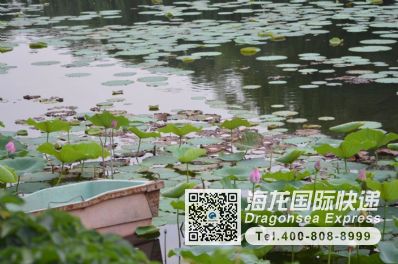 从北京市空运到新加坡