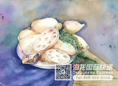 从天津市空运到美国