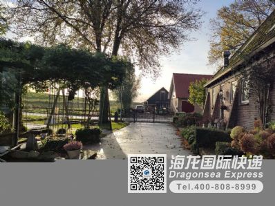 从深圳市空运到荷兰