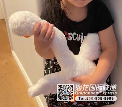 从北京市空运到美国