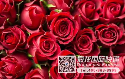 从南京市空运到法国