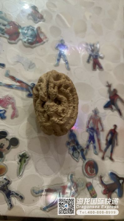 从广州市空运到美国