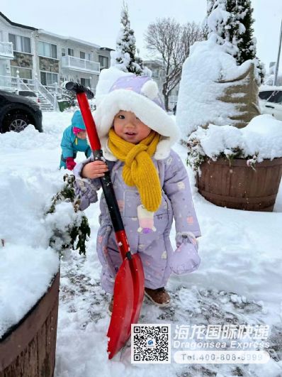从上海市空运到加拿大