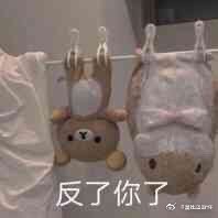 从北京市空运到加拿大