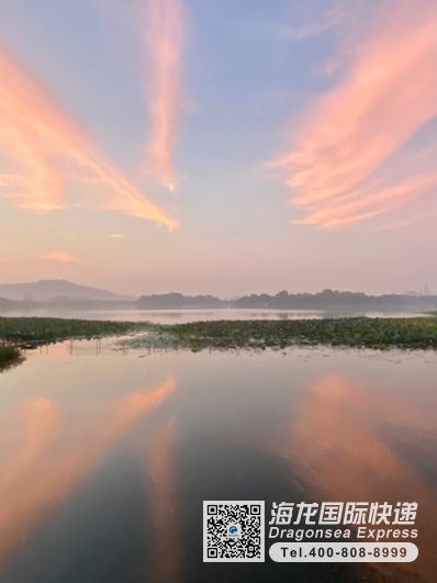 从广州市空运到日本
